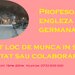 Profesoara engleza -germana